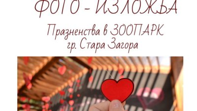 Децата зад обектива: 24 кадъра показват празничния Зоопарк в Стара Загора
