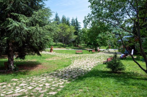 Стара Загора започва пълна &bdquo;инспекция&ldquo; на "Аязмото": търсят рискови дървета и план за следващите 10 години