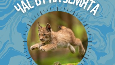 Стара Загора гаси светлините за &bdquo;Часът на Земята&ldquo;: 60 минути за планетата на 28 март