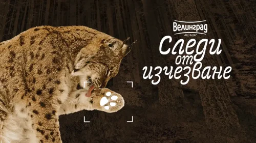 &bdquo;Следи от изчезване&ldquo; тръгва от Стара Загора: изложбата показва отпечатъци от видове на ръба