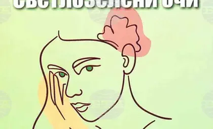 Стара Загора с литературно събитие на 7 май: Здравка Евтимова представя &bdquo;Светлозелени очи&ldquo;
