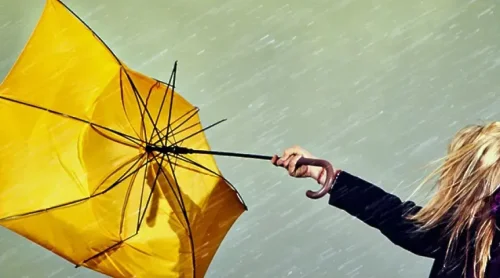 Жълт код за силен вятър в Стара Загора: пориви до 24 м/с, общината вдига готовност