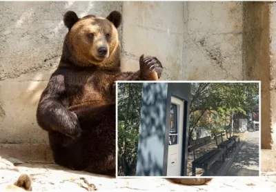 Ново в Зоопарк Стара Загора: купувате билет с карта на автомат пред входа