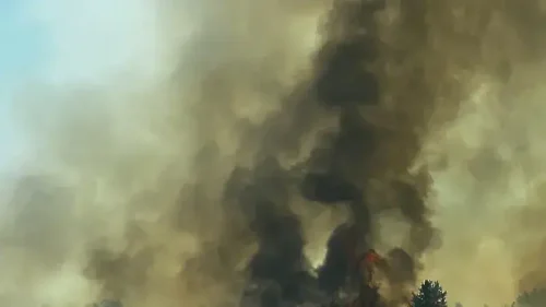 Голям пожар затвори Подбалканския път край Злати войвода