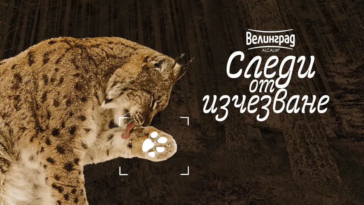 „Следи от изчезване“ тръгва от Стара Загора: изложбата показва отпечатъци от видове на ръба
