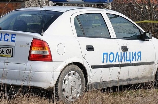Полицията издирва шофьор за жестокост: котка е убита след удар в „Трите чучура“