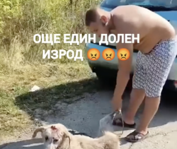 (ВИДЕО) ЖЕСТОКО ПОСЕГАТЕЛСТВО НАД ЖИВОТНО: Мъж е заснет да влачи куче