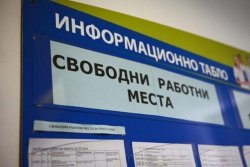423 свободни работни места в Стара Загора: инженери се търсят най-много, държавата пуска мярка за връщане от чужбина