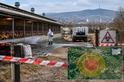 БАБХ откри птичи грип в Еленино и наложи 10 км зона